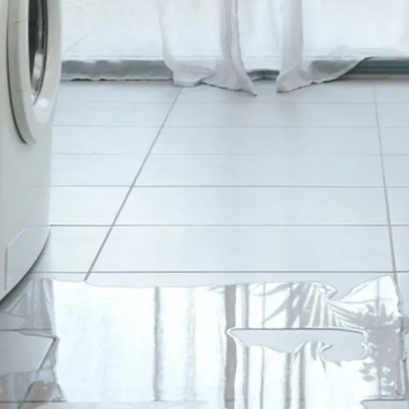 Appliance Leak Cleanup in Norlina, NC