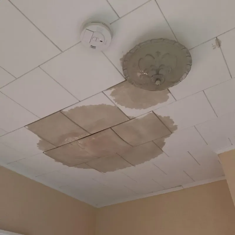 Ceiling Water Damage Repair in Norlina, NC